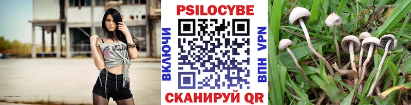 Псилоцибиновые грибы прущие грибы  Купить закладки  Алексин 